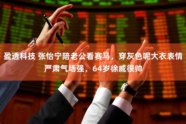 盈透科技 张怡宁陪老公看赛马，穿灰色呢大衣表情严肃气场强，64岁徐威很帅