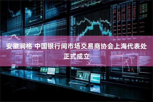安徽润格 中国银行间市场交易商协会上海代表处正式成立