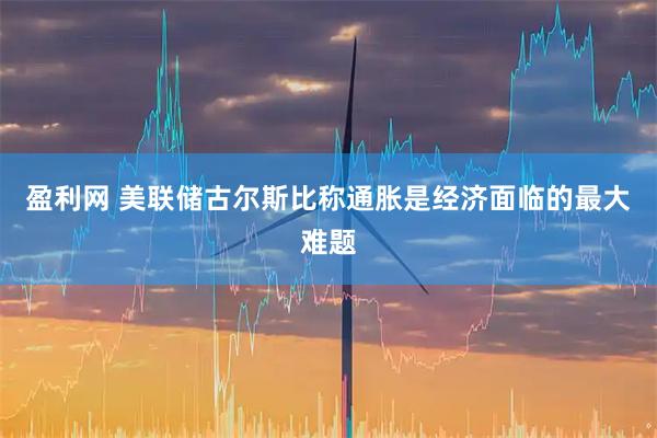 盈利网 美联储古尔斯比称通胀是经济面临的最大难题